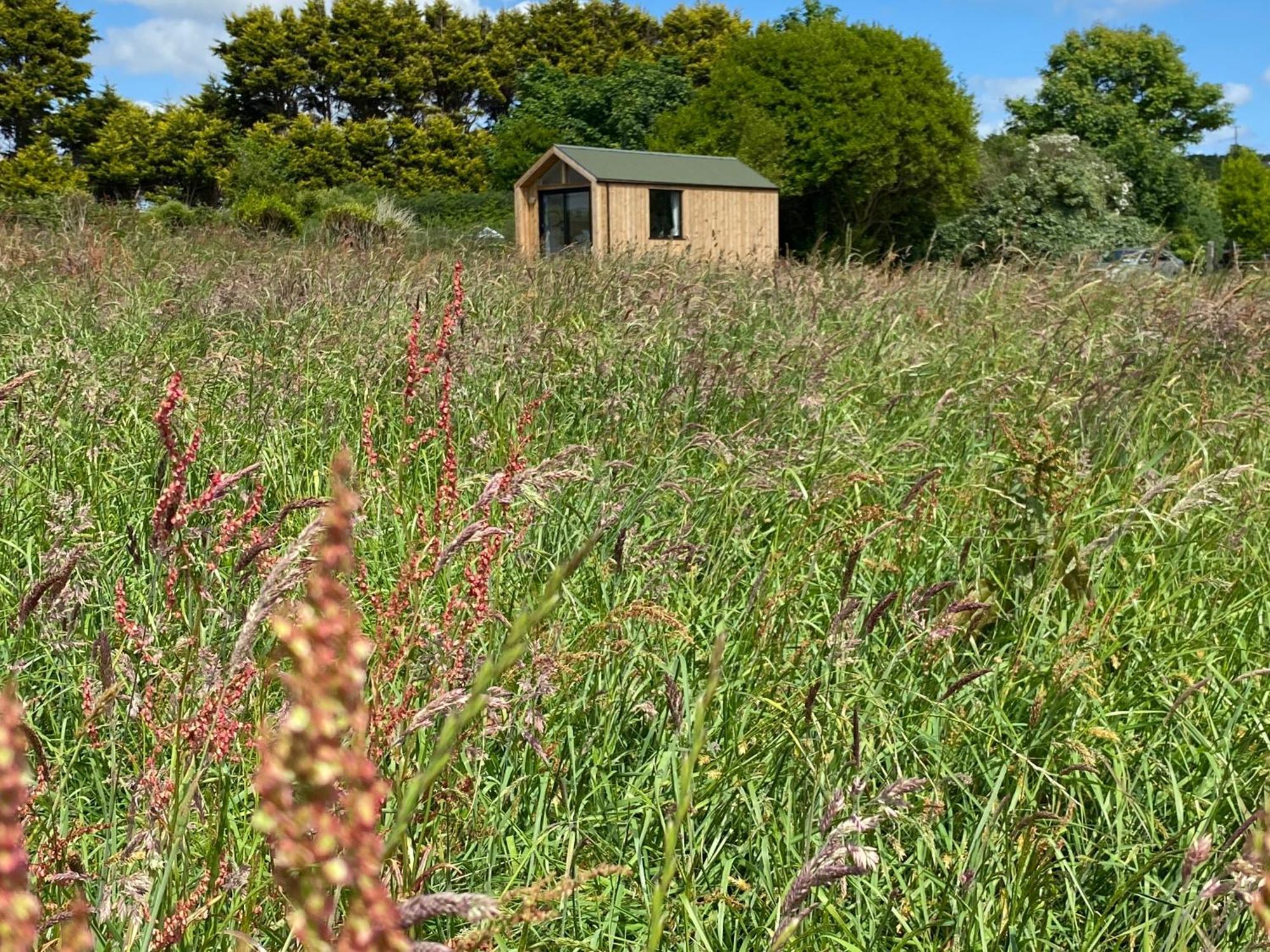 Otterly'S Retreat Villa Skibbereen Bagian luar foto